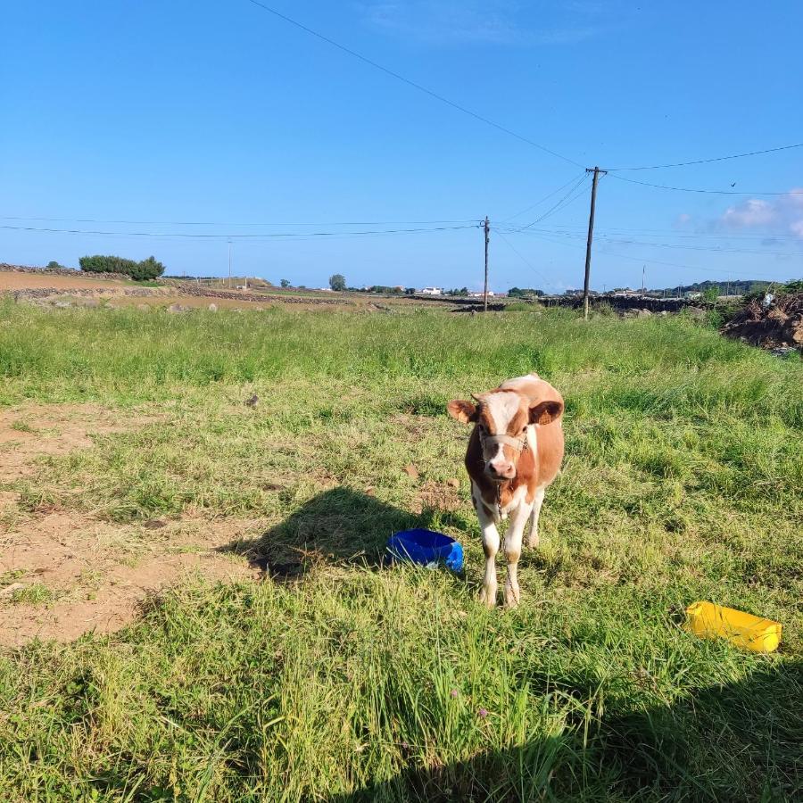 Apartament O Postigo Praia da Vitória Zewnętrze zdjęcie